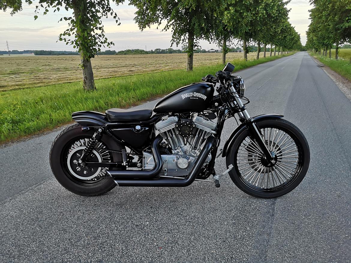 Harley Davidson 883 XLH billede 1