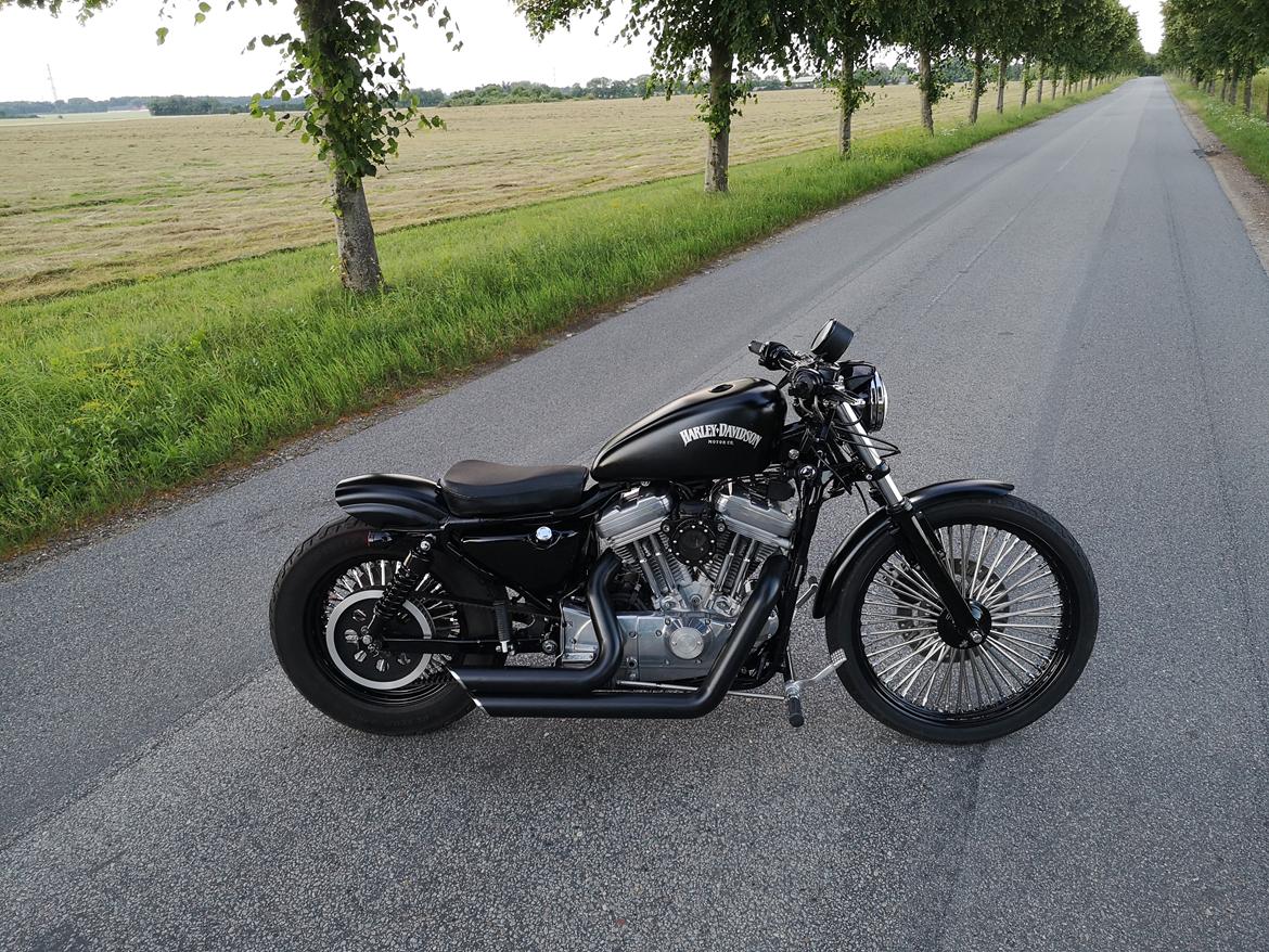 Harley Davidson 883 XLH billede 2