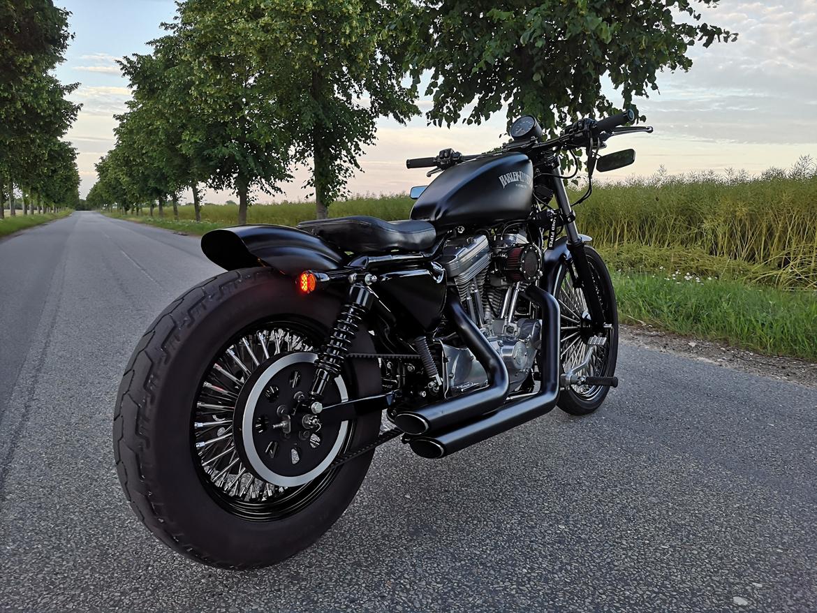 Harley Davidson 883 XLH billede 5