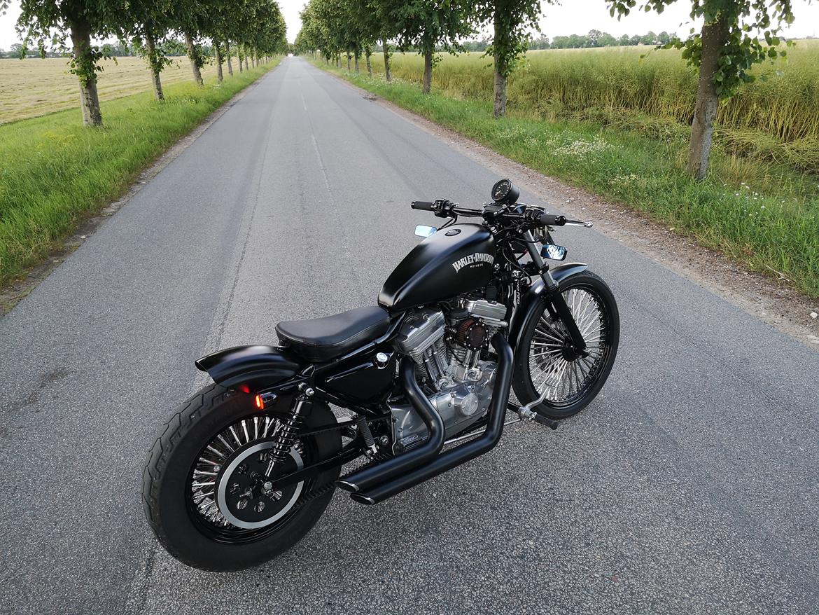 Harley Davidson 883 XLH billede 3