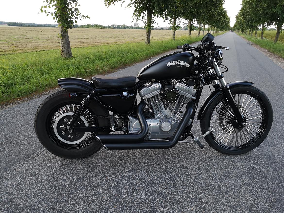 Harley Davidson 883 XLH billede 7