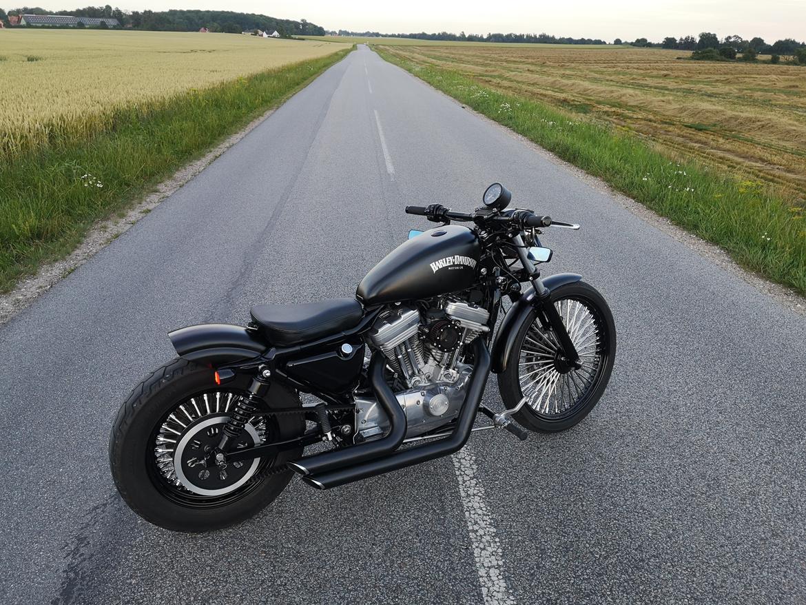 Harley Davidson 883 XLH billede 14