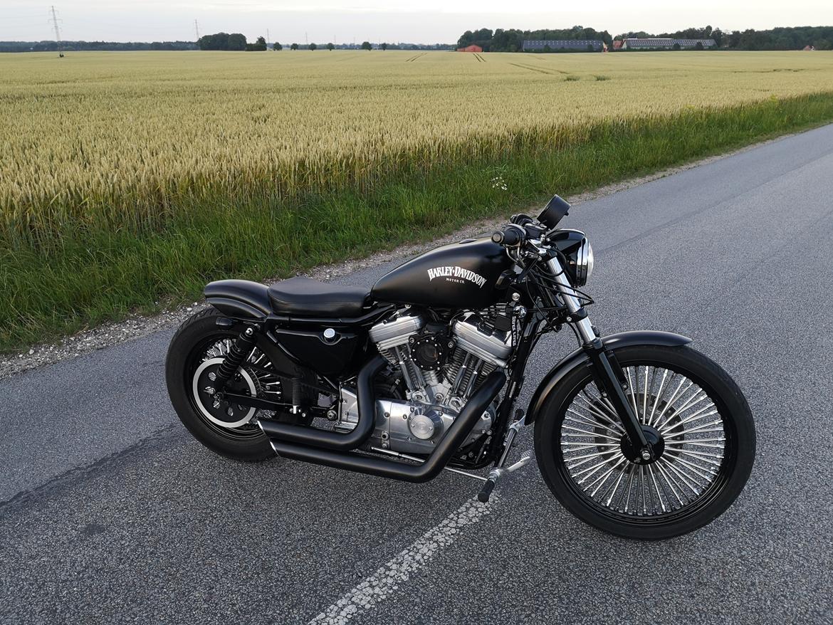 Harley Davidson 883 XLH billede 15