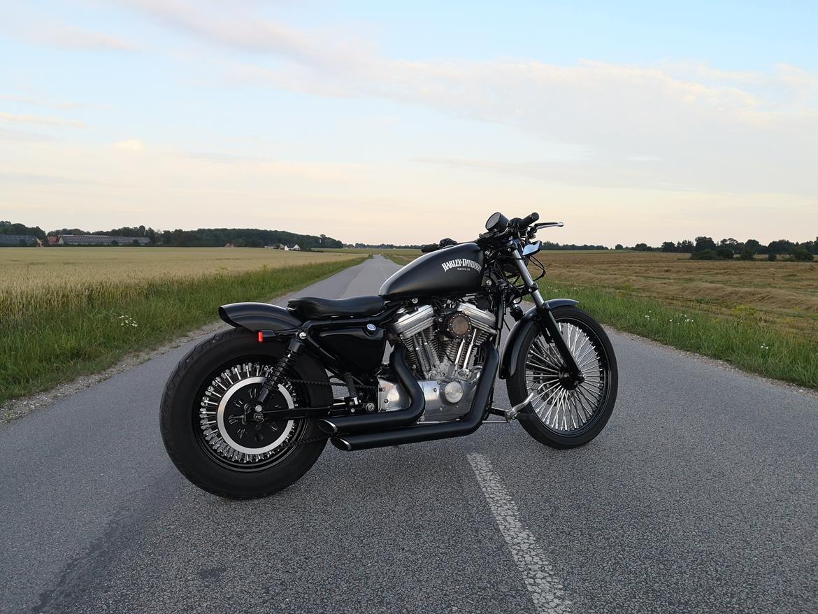 Harley Davidson 883 XLH billede 19