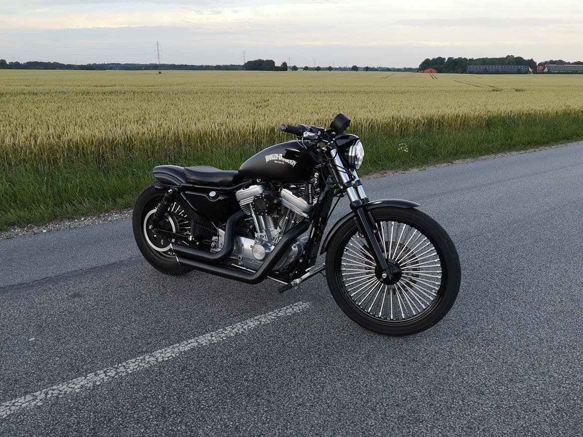 Harley Davidson 883 XLH billede 22