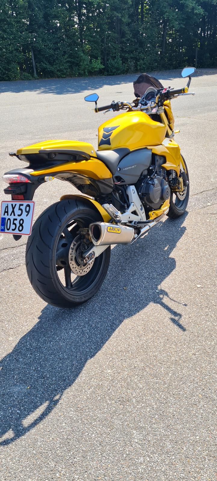 Honda Cb 600f hornet ! Solgt 2021 ! billede 1