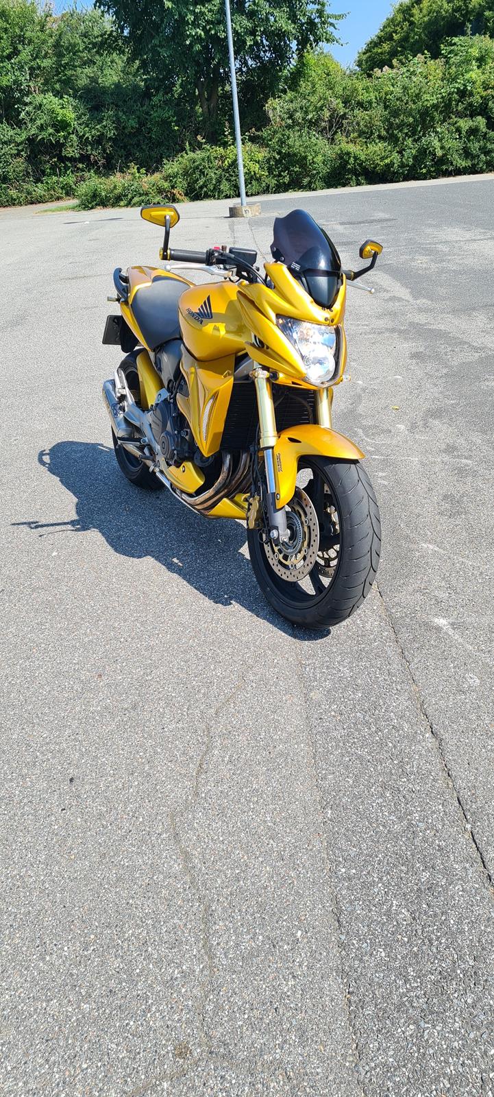 Honda Cb 600f hornet ! Solgt 2021 ! billede 6