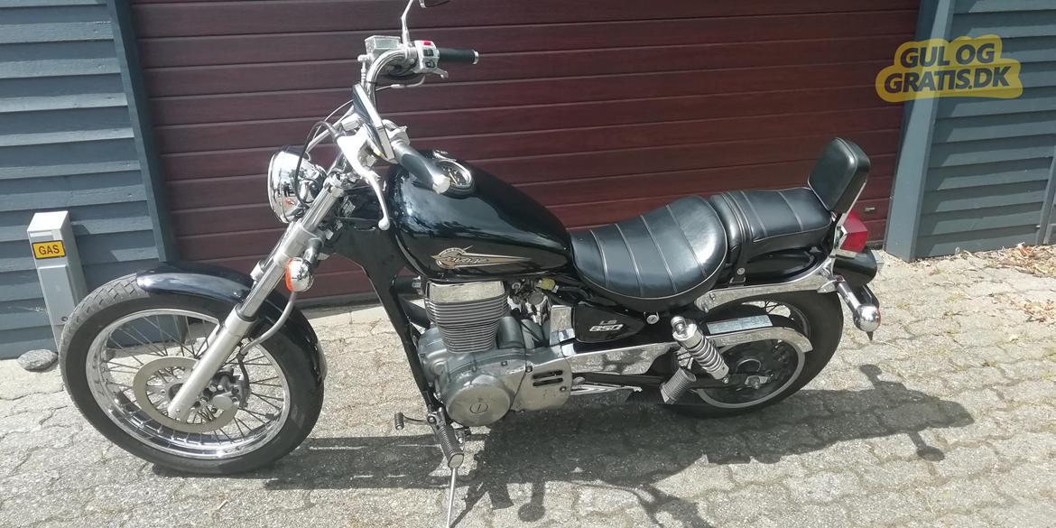 Suzuki LS650 Savage (solgt) billede 2