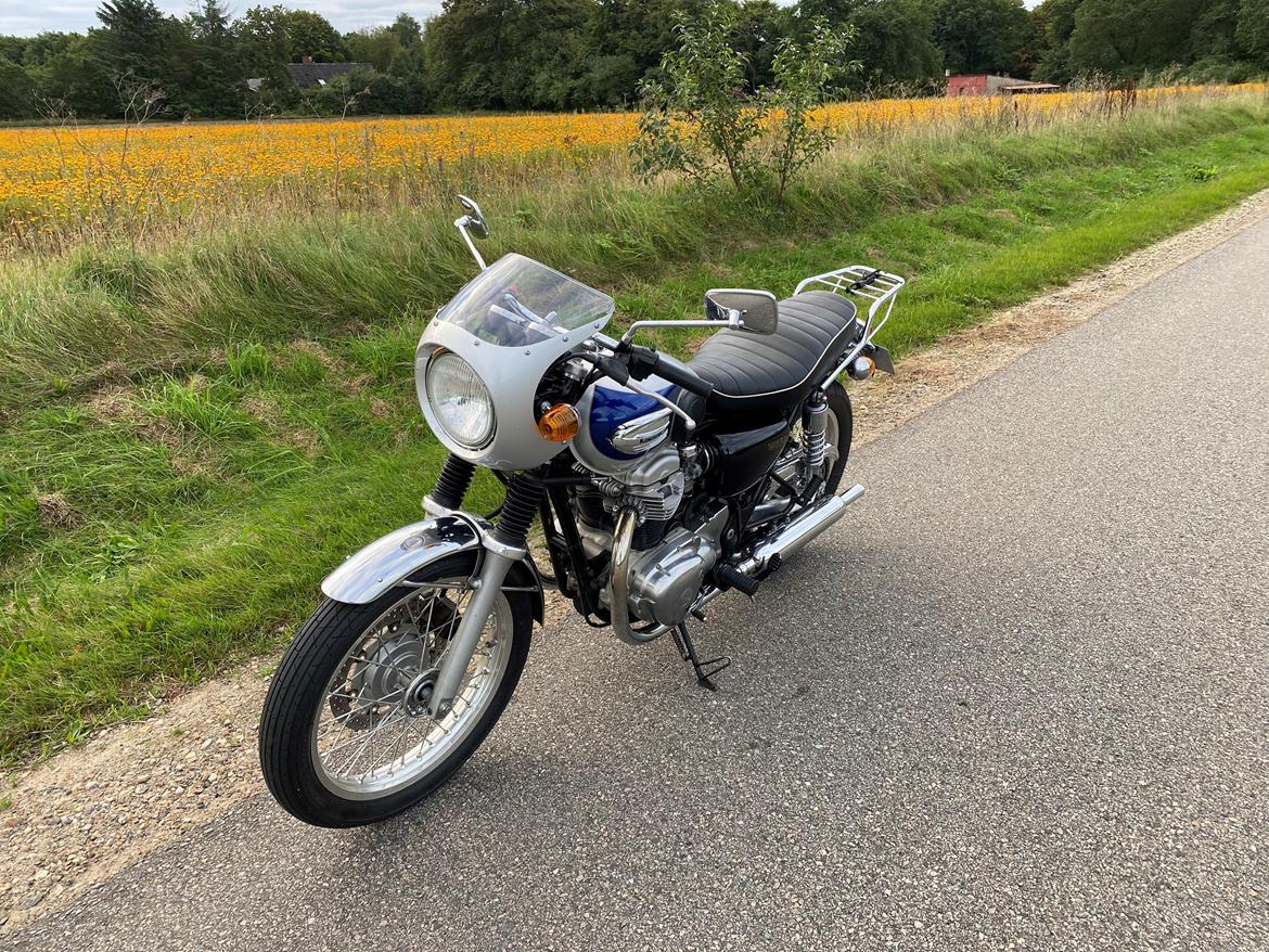 Kawasaki w 650 billede 13