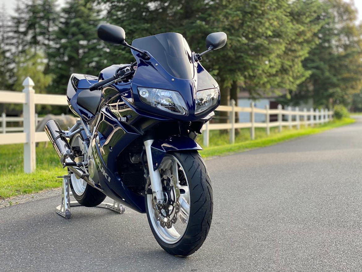 Suzuki SV 1000s billede 2