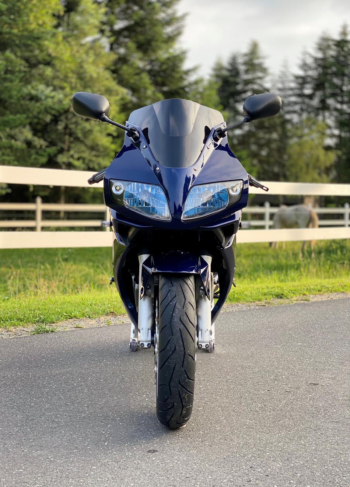 Suzuki SV 1000s billede 3