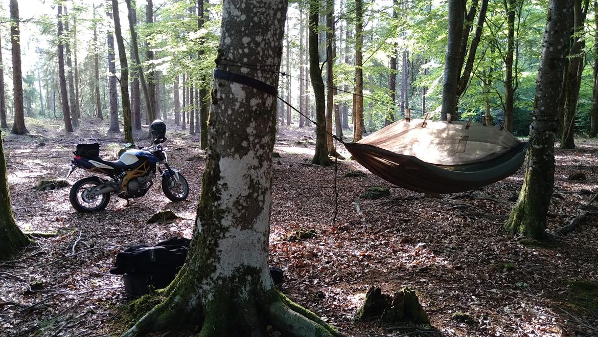 Aprilia Shiver 750 * SOLGT billede 21