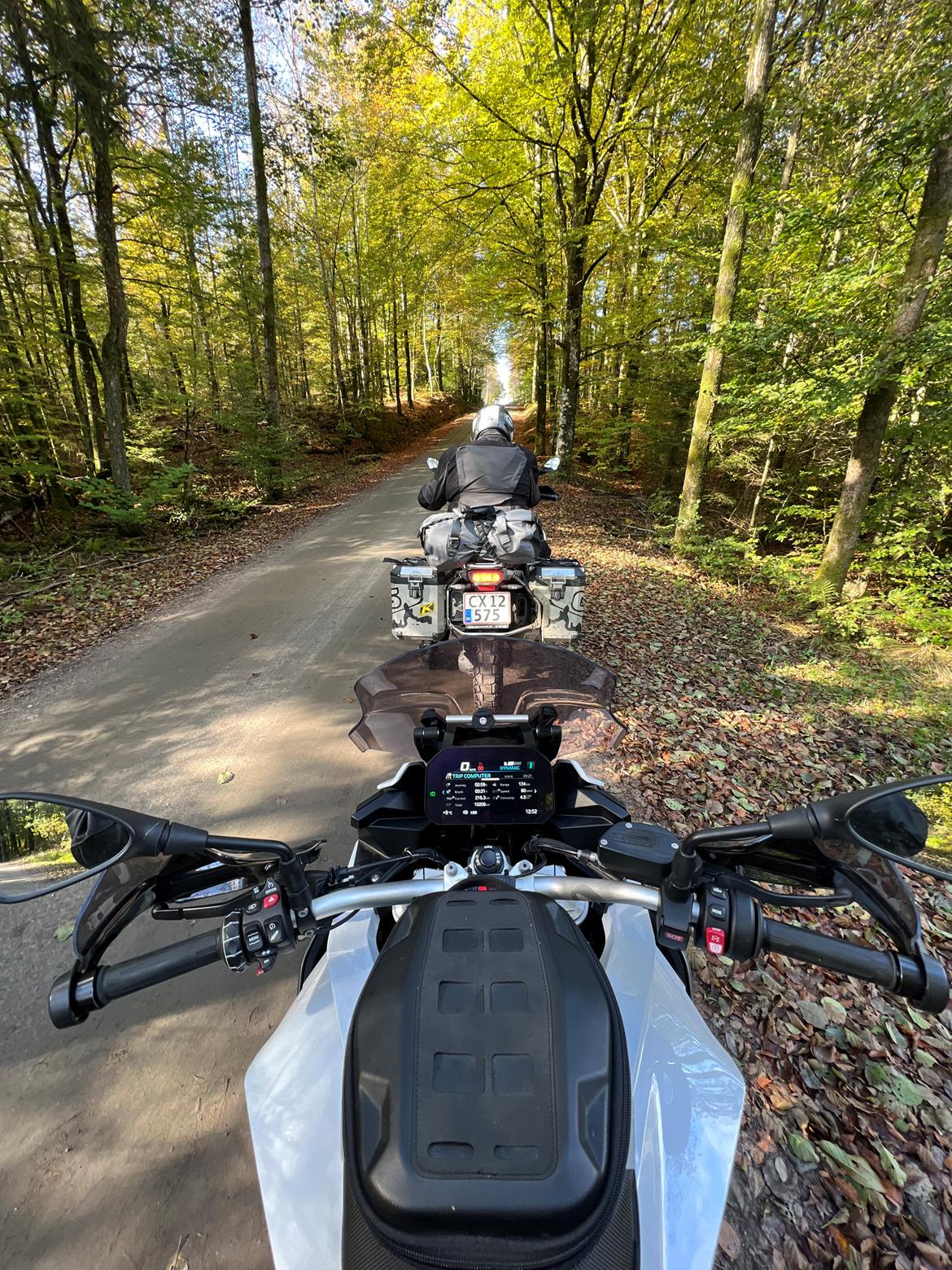 BMW F900XR billede 3