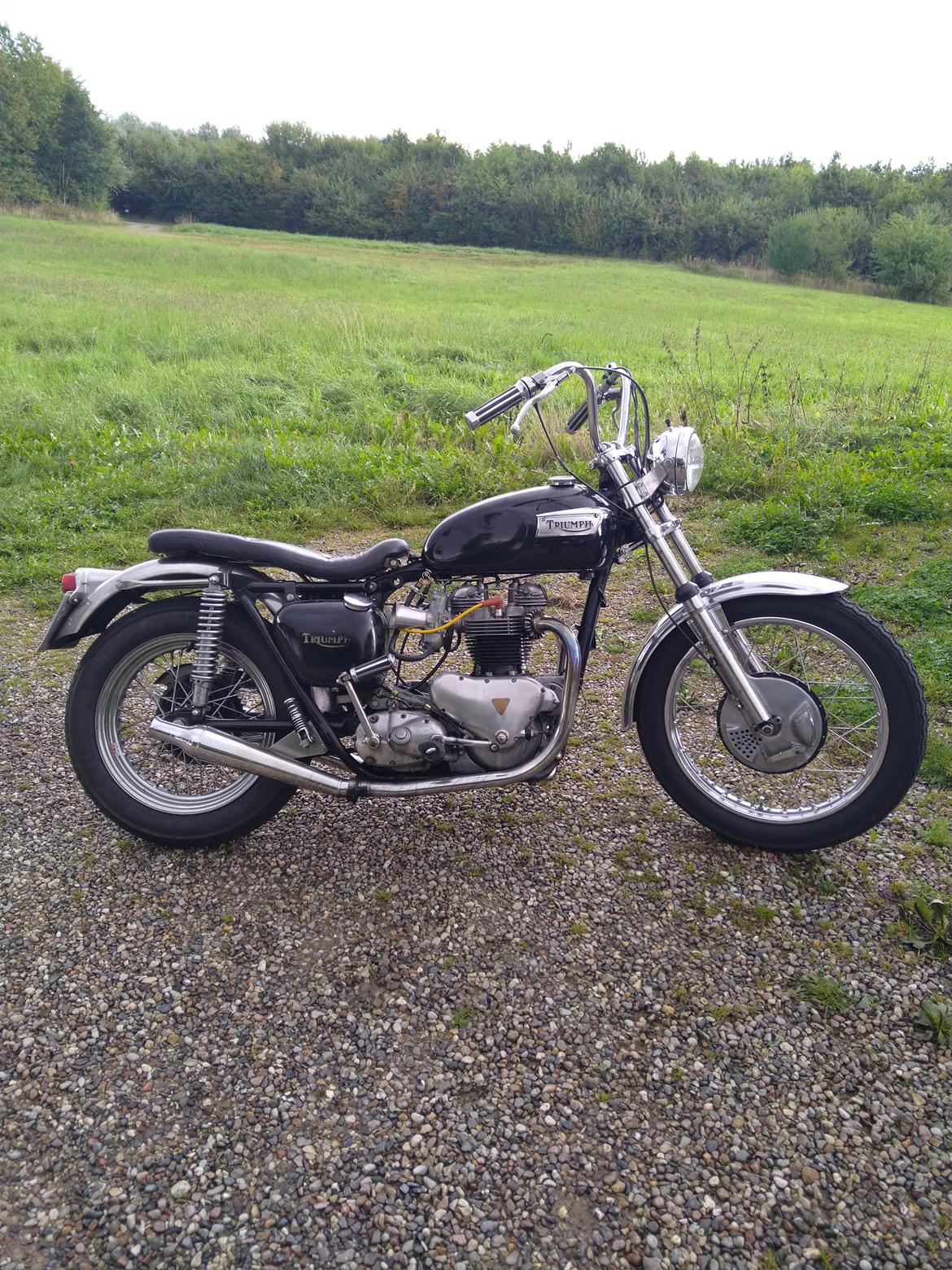 Triumph thunderbird billede 4