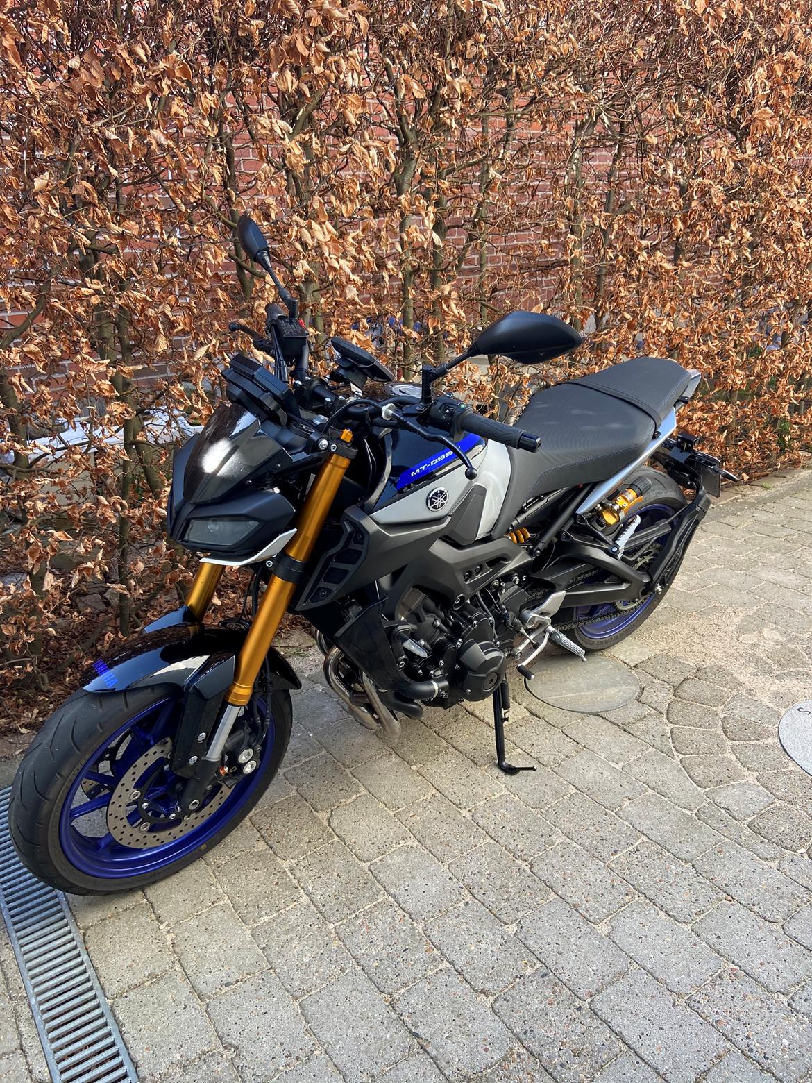 Yamaha MT-09 SP billede 3