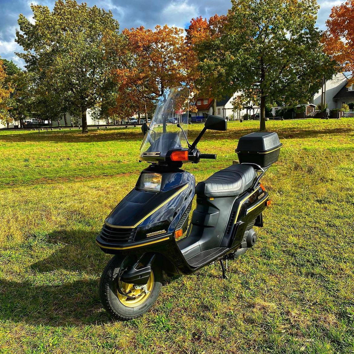 Honda CH250 Elite SOLGT 25. JAN. 2025 billede 33