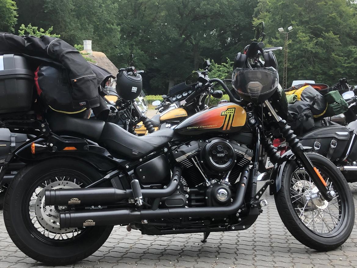 Harley Davidson Softail Street Bob FXBB billede 8