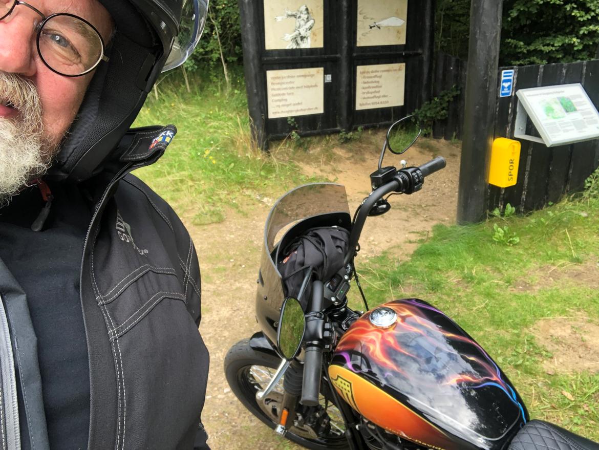 Harley Davidson Softail Street Bob FXBB billede 12