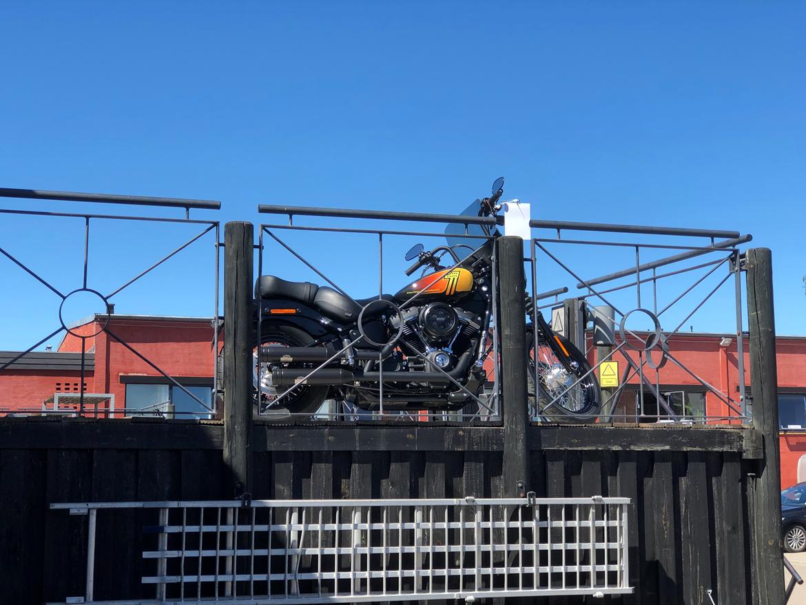 Harley Davidson Softail Street Bob FXBB billede 16