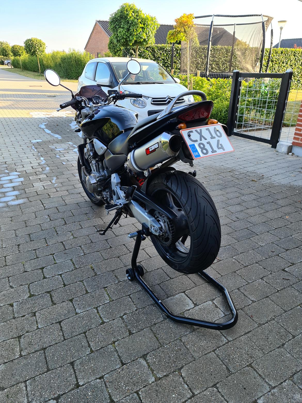 Honda CB 900 F Hornet billede 3