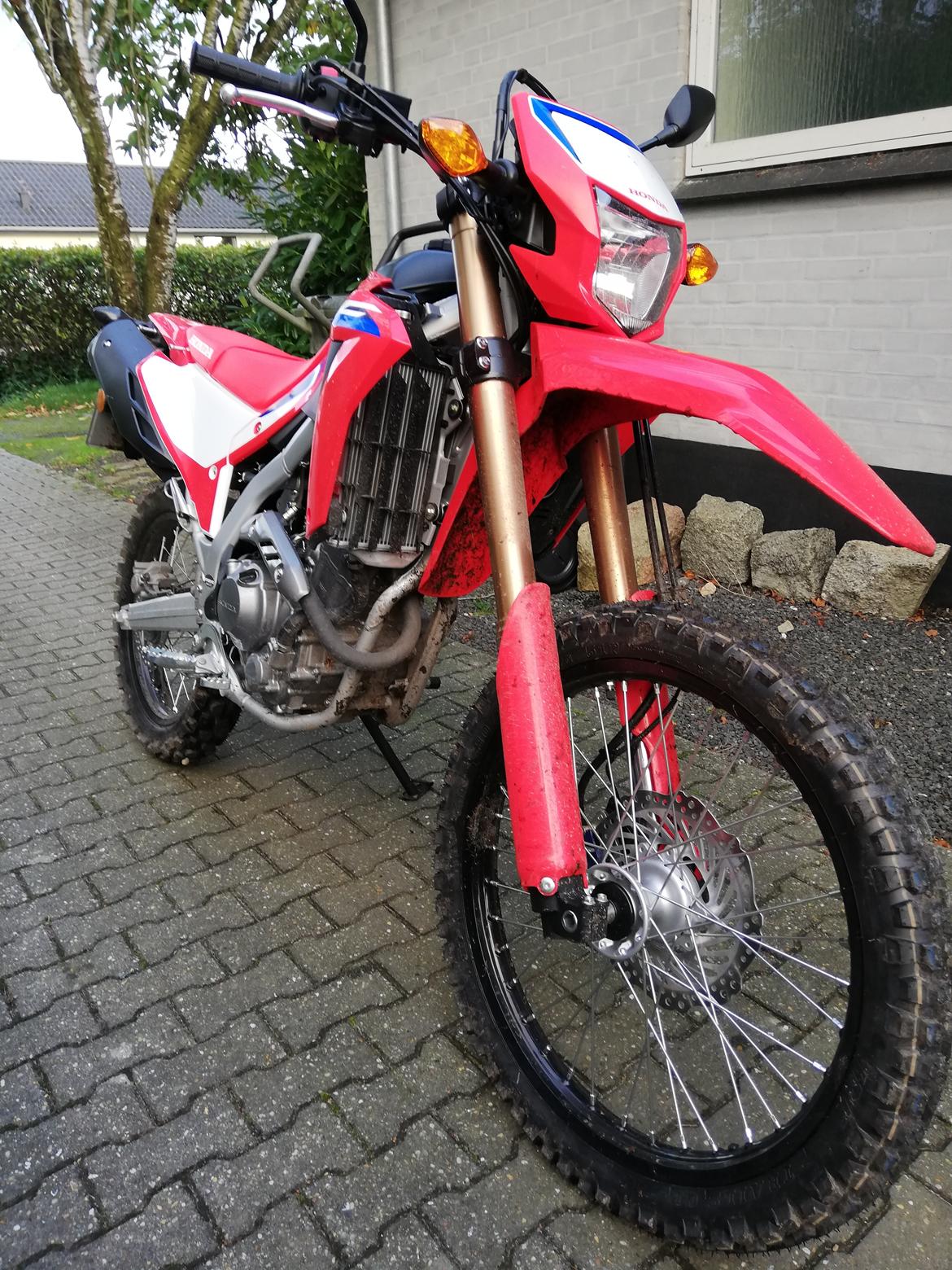 Honda CRF 300 L billede 11