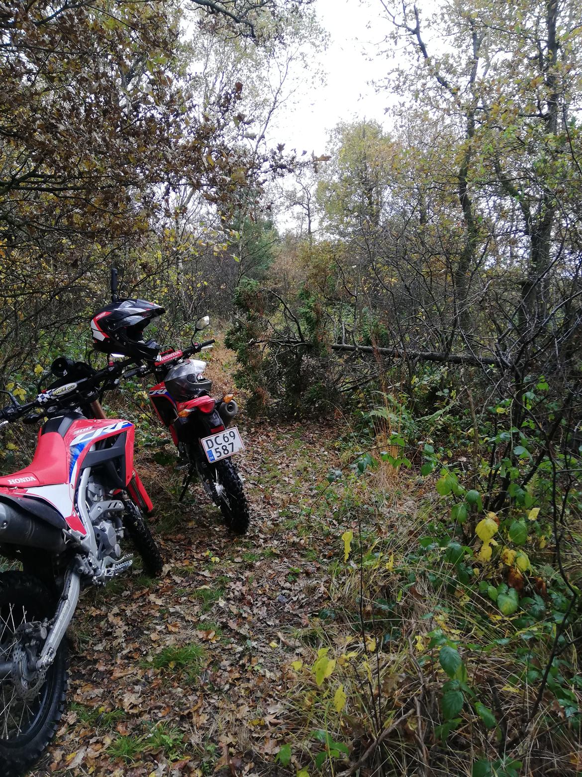 Honda CRF 300 L billede 9