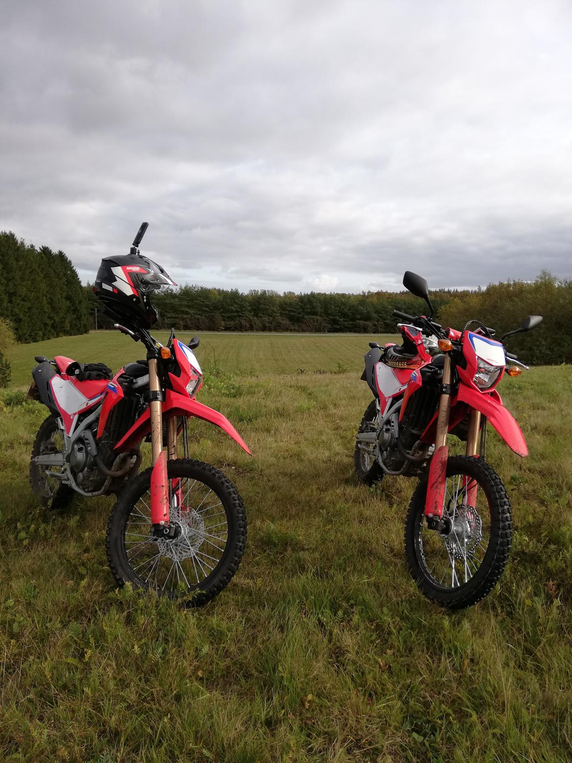 Honda CRF 300 L billede 6