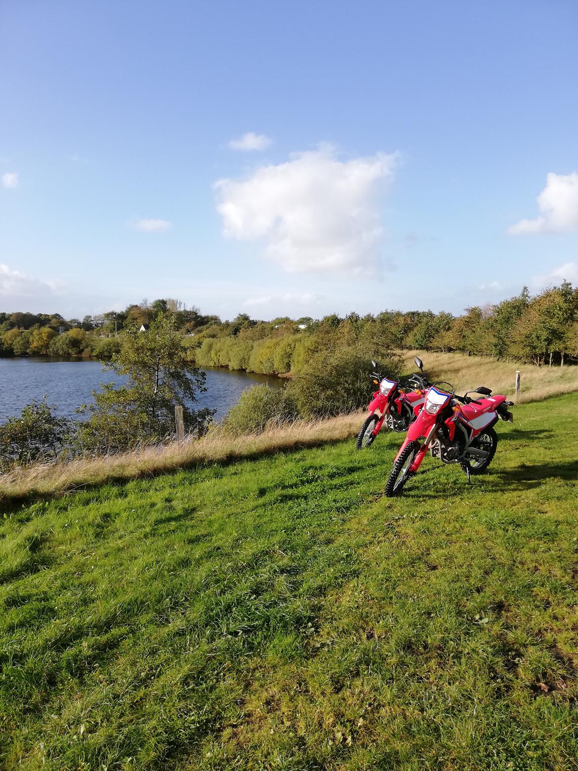 Honda CRF 300 L billede 5