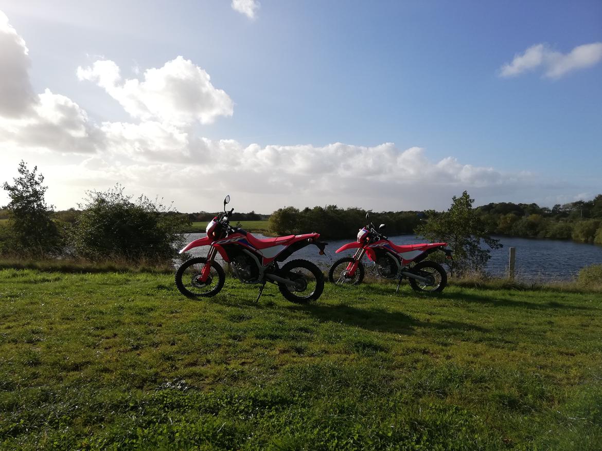 Honda CRF 300 L billede 7
