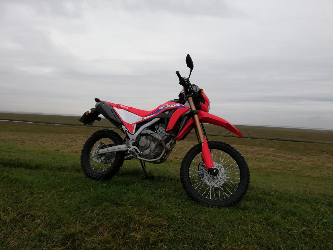 Honda CRF 300 L billede 2