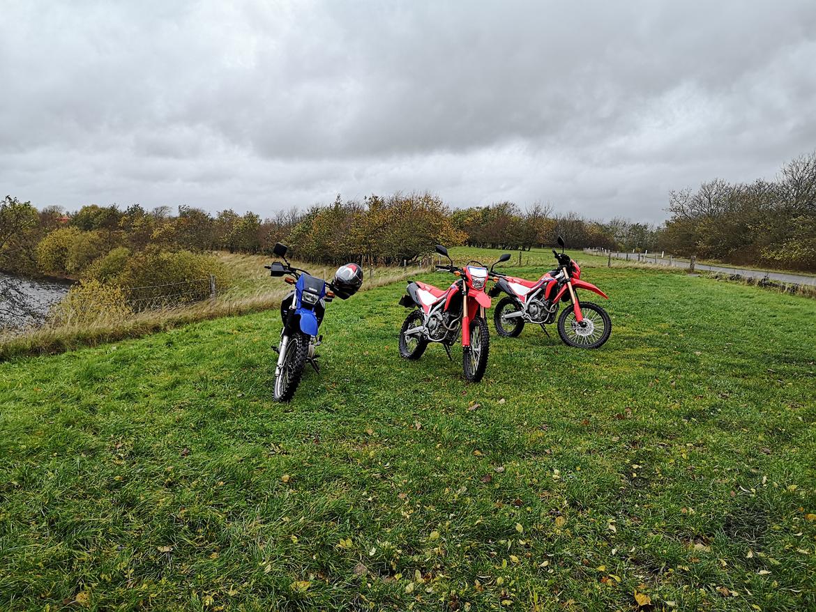 Honda CRF 300 L billede 10