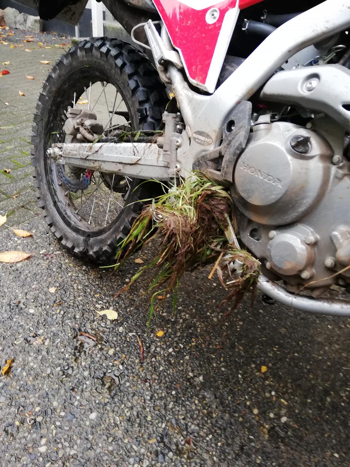 Honda CRF 300 L billede 12