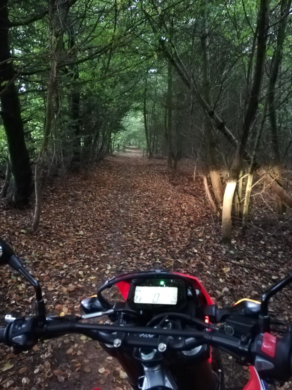 Honda CRF 300 L billede 8