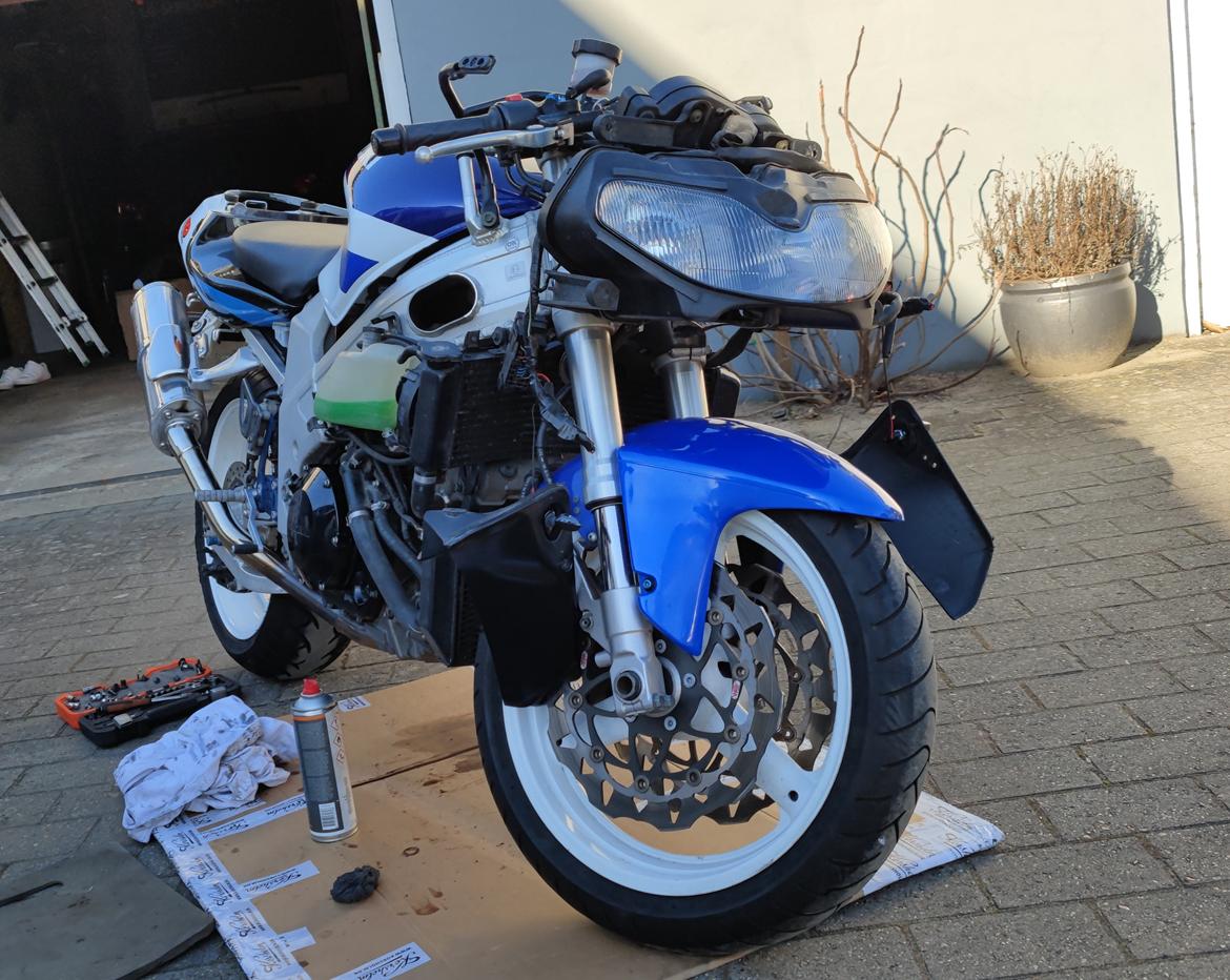 Suzuki TL1000R - Naked 😁 billede 13