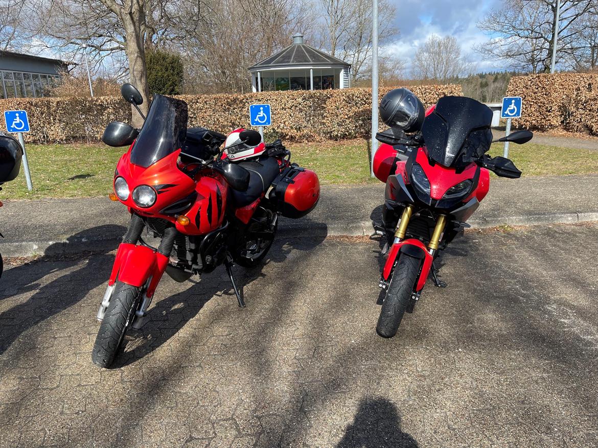 Triumph Tiger 955i billede 6