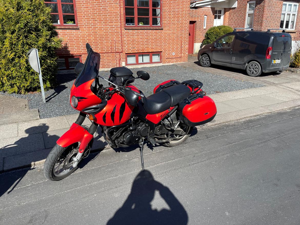 Triumph Tiger 955i billede 4