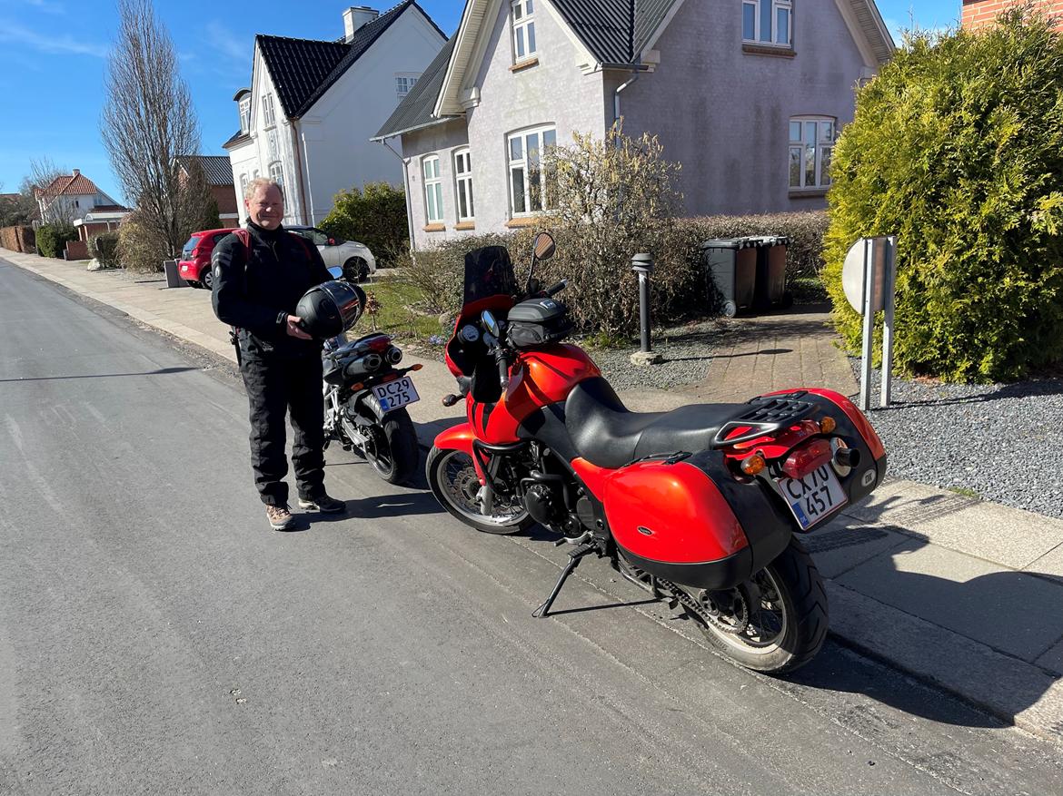 Triumph Tiger 955i billede 5