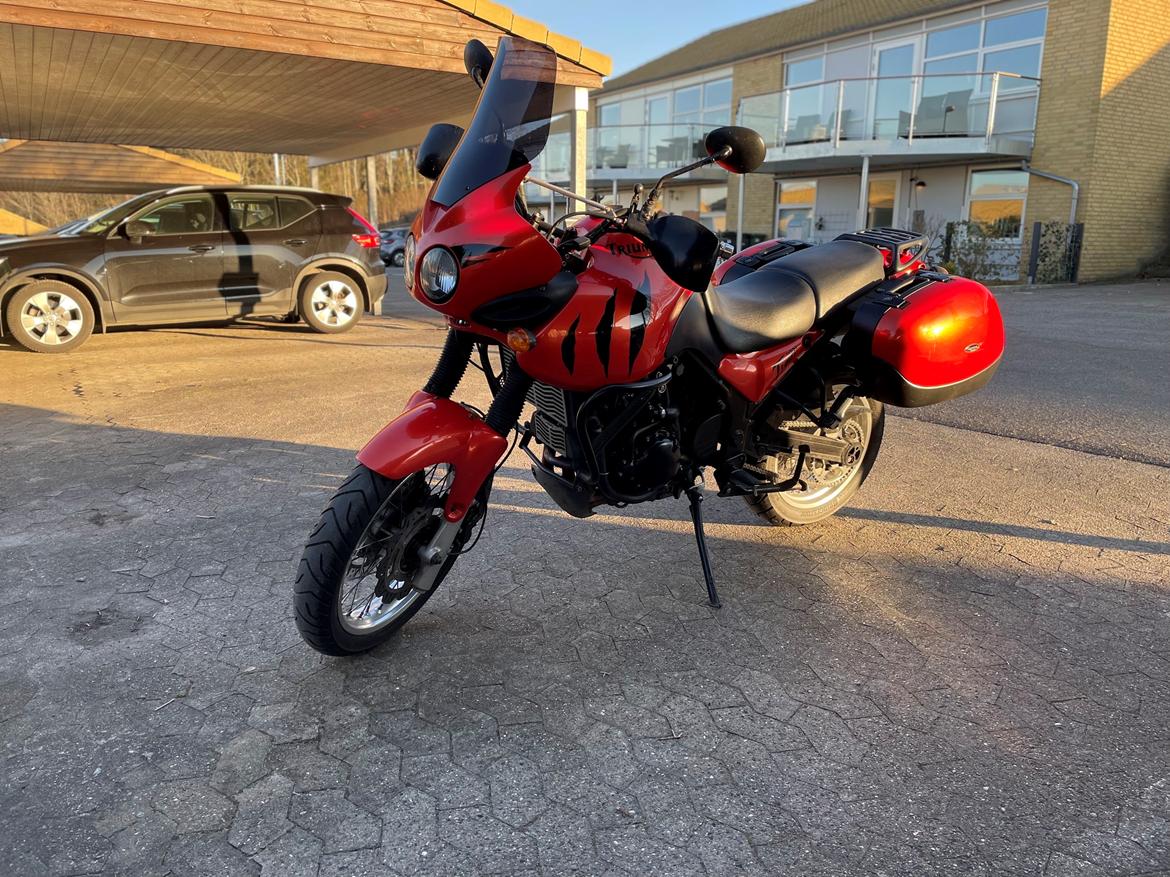 Triumph Tiger 955i billede 1
