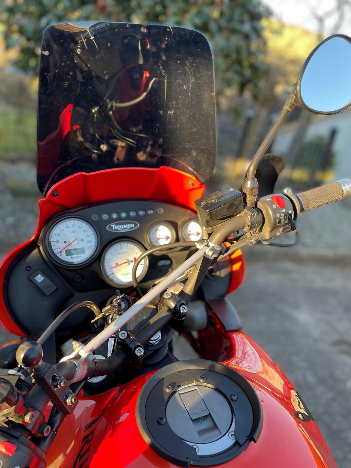 Triumph Tiger 955i billede 3