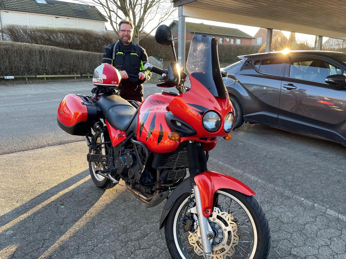 Triumph Tiger 955i billede 2