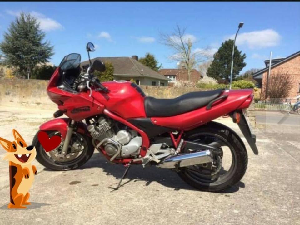 Yamaha Xj600 diversion  billede 2