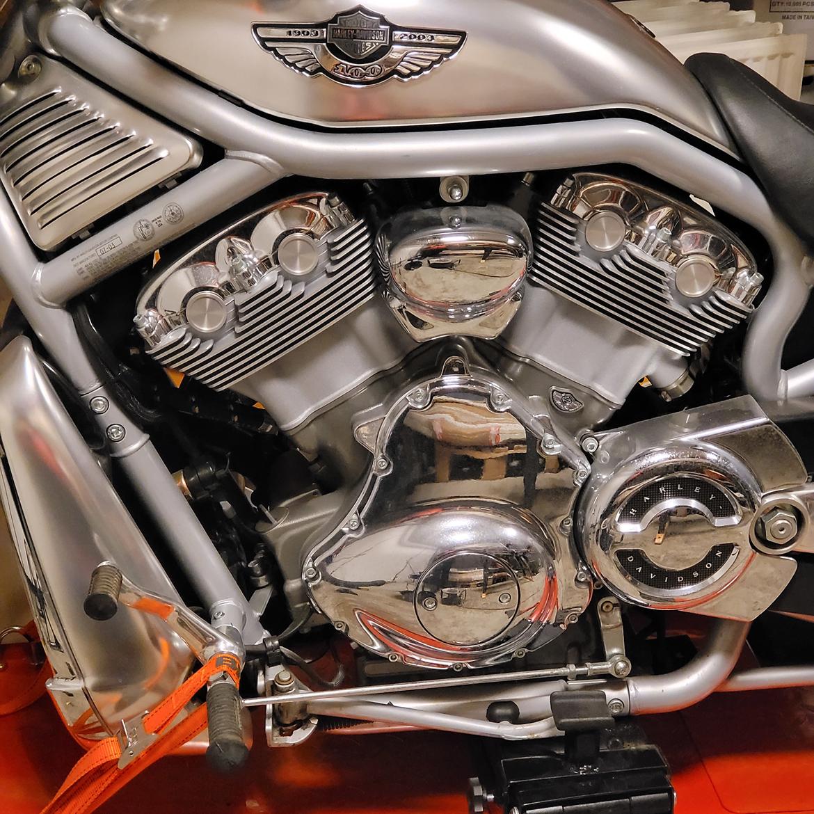 Harley Davidson Vrod billede 2