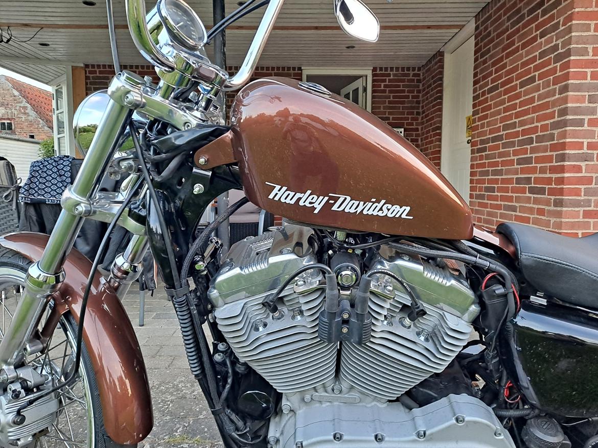 Harley Davidson Sportster 883 billede 4