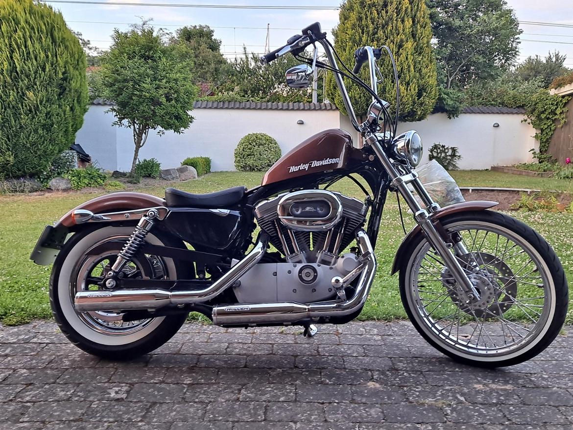 Harley Davidson Sportster 883 billede 11