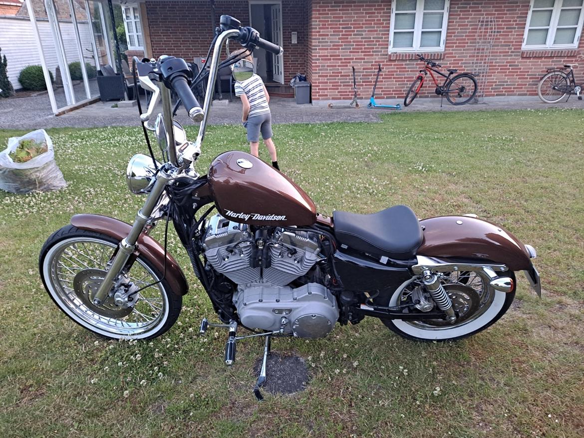 Harley Davidson Sportster 883 billede 3