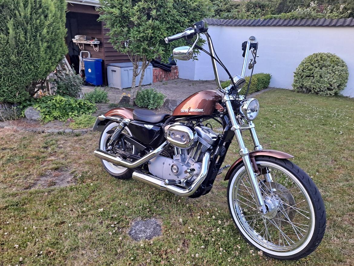 Harley Davidson Sportster 883 billede 1