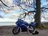 Suzuki SV650S