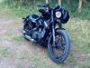 Harley Davidson Nightster Black on Black XL1200N