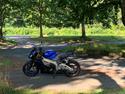 Aprilia Tuono V4 1100 RR