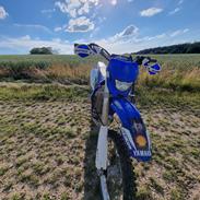 Yamaha WR450